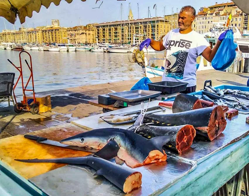 Sharks for sale at the Marseille fish market