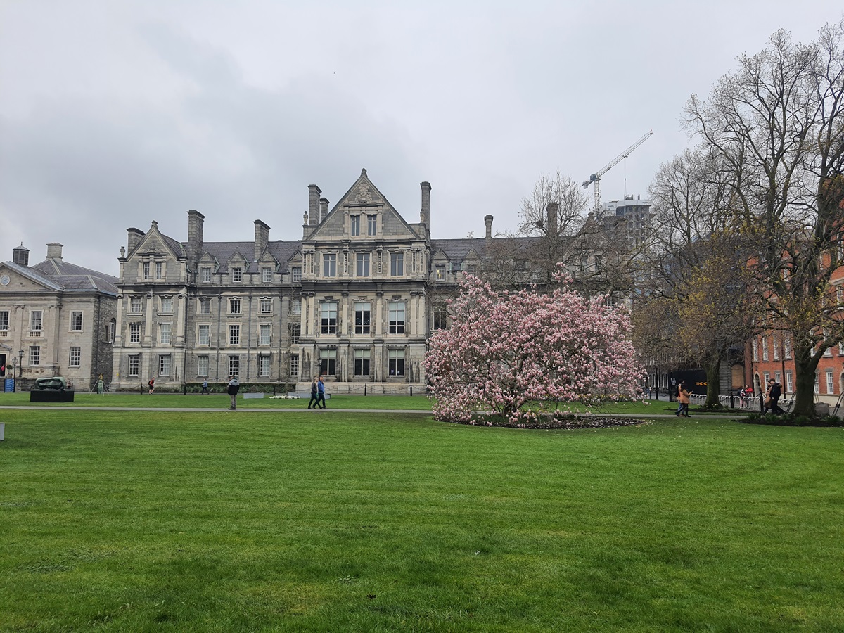 Άνοιξη στον κήπο του Trinity College στο Δουβλίνο, με καταπράσινο γρασίδι και ανθισμένο ροζ δεντρο δίπλα στο ιστορικό κτίριο του πανεπιστημίου.