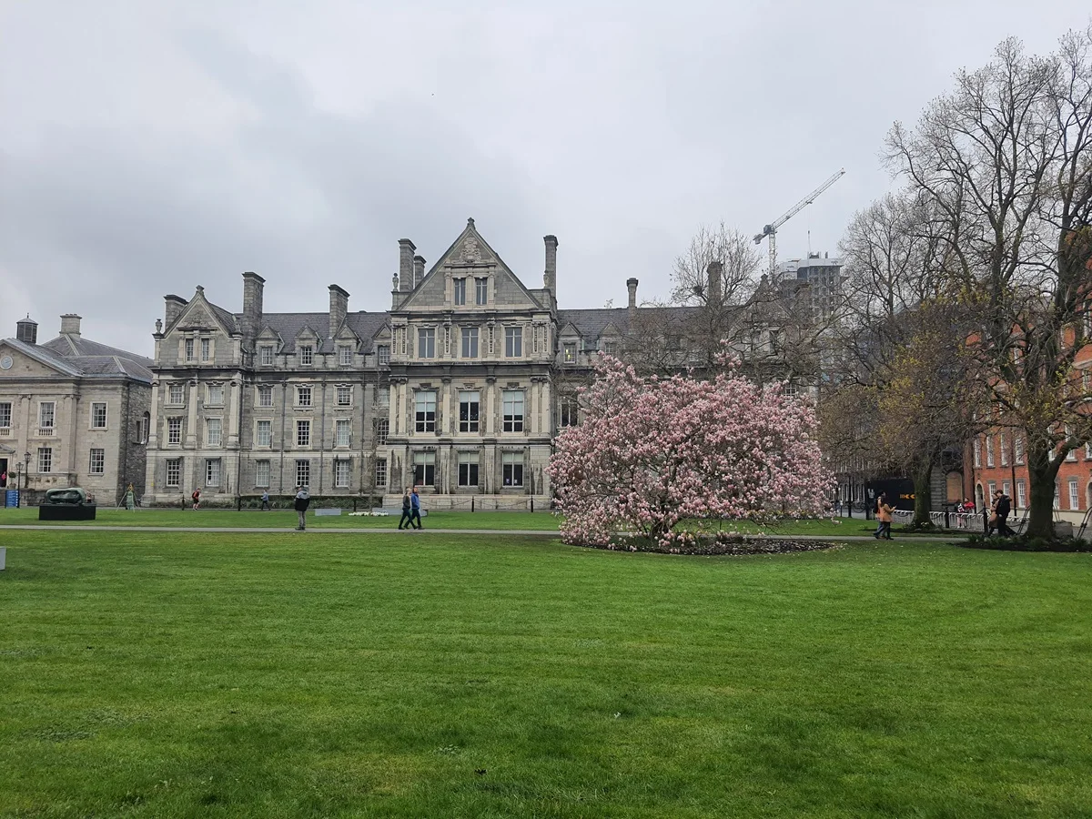 Spring at Trinity College, Dublin, with a pink tree in blossom beside the historic buildings.