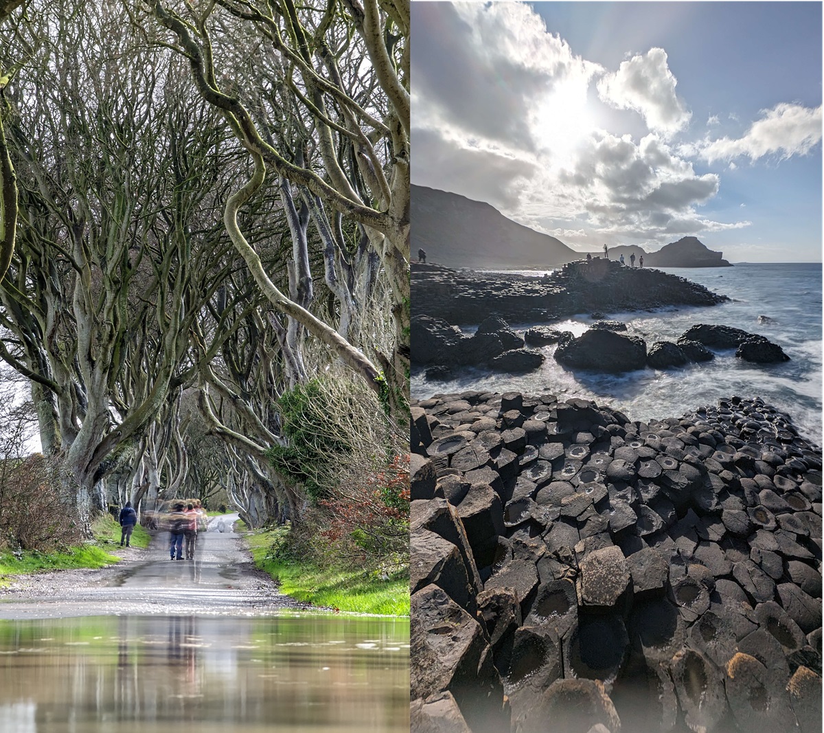 Τα Dark Hedges και το Giant's Causeway στη βόρεια Ιρλανδία, δύο από τα πιο εμβληματικά φυσικά τοπία της χώρας σε ένα roadtrip με βαν.