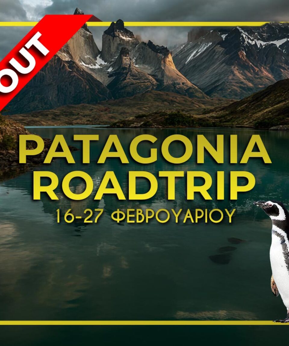 patagonia-soldout