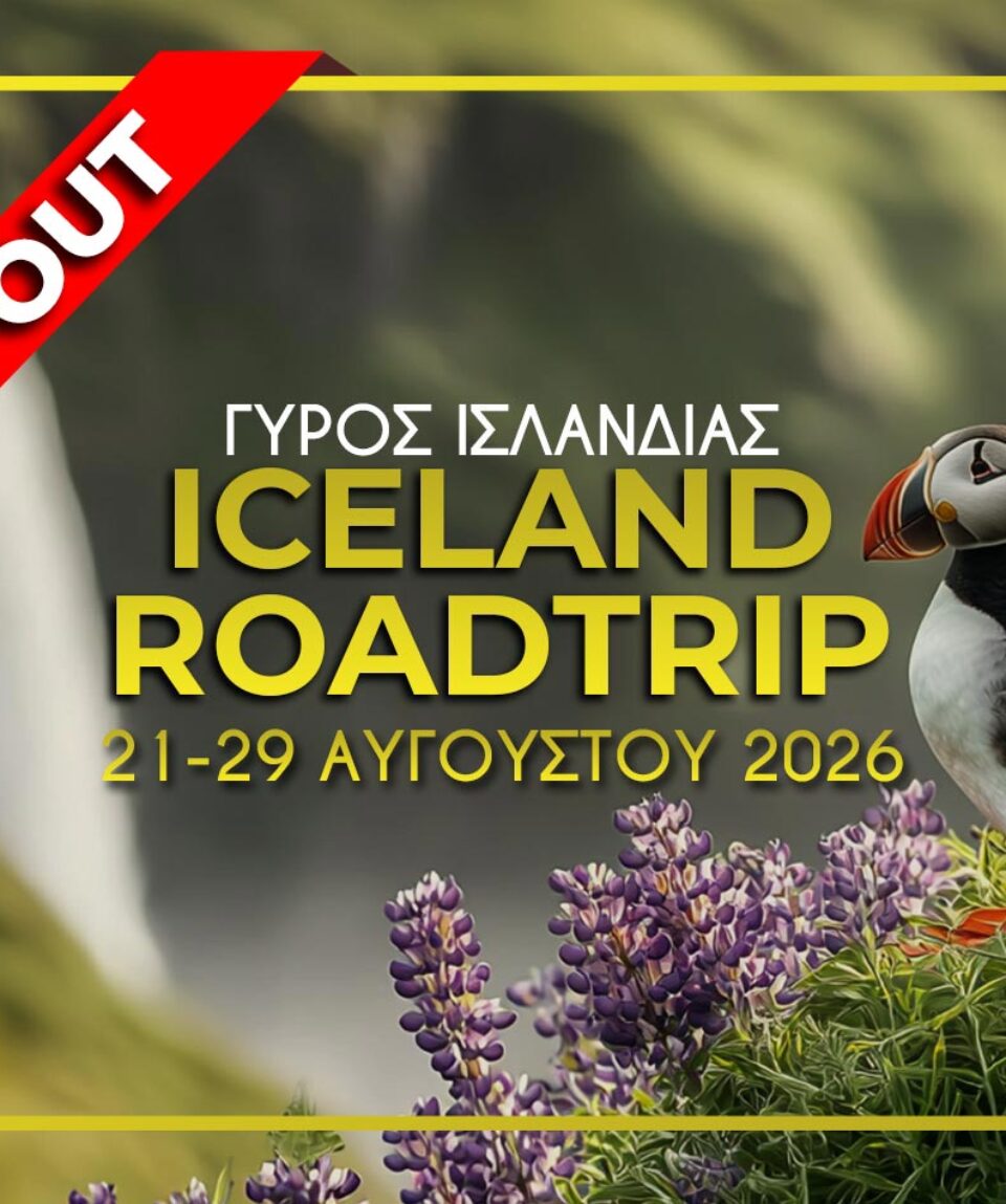 icelad-21-29-8soldout26