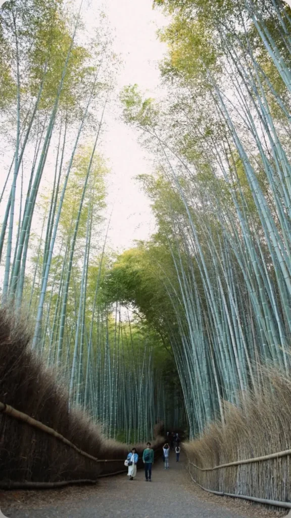 Το μονοπάτι μέσα στα bamboo του Arashiyama, Κιότο