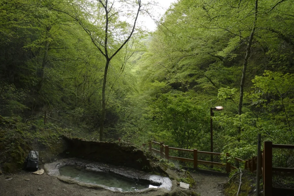 Υπαίθριο onsen μέσα στο δάσος, Ιαπωνία