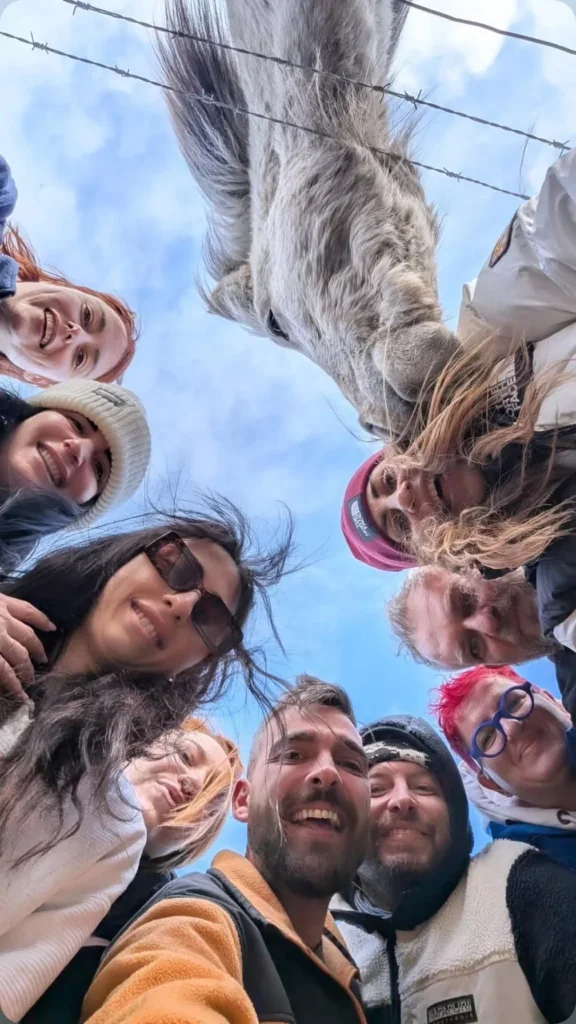 Selfie της παρέας με ένα ισλανδικό άλογο από πάνω